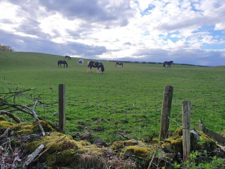 Lochhill Stable Lodge Castle Douglas Esterno foto